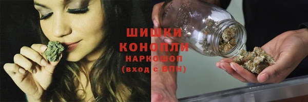 ГАЛЛЮЦИНОГЕННЫЕ ГРИБЫ Кукмор