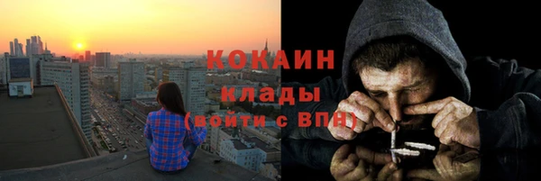 ГАЛЛЮЦИНОГЕННЫЕ ГРИБЫ Кукмор