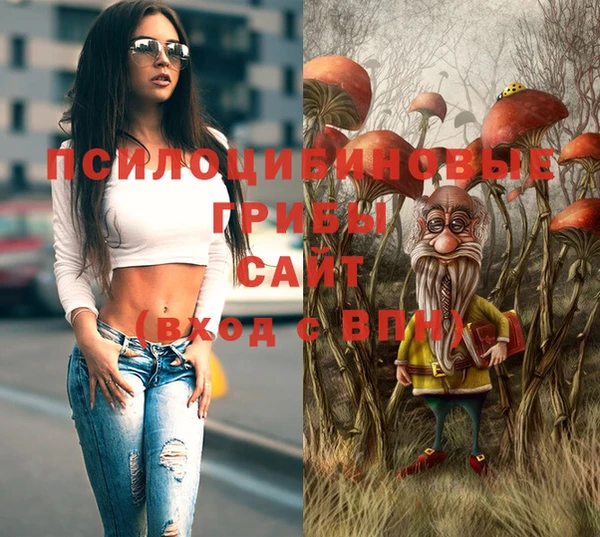 ГАЛЛЮЦИНОГЕННЫЕ ГРИБЫ Кукмор