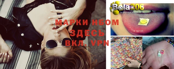 ГАЛЛЮЦИНОГЕННЫЕ ГРИБЫ Кукмор