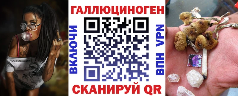Купить где  Невинномысск  Галлюциногенные грибы Magic Shrooms 